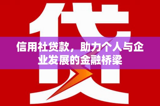 容县信用社贷款，助力个人与企业发展的金融桥梁