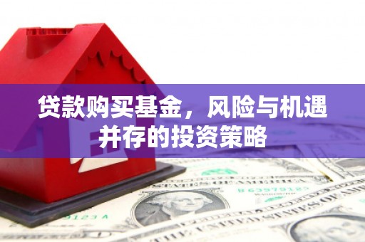 容县贷款购买基金，风险与机遇并存的投资策略
