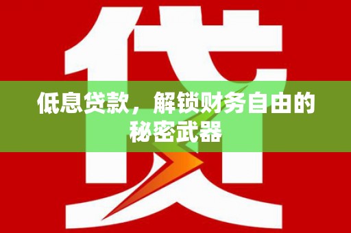 容县低息贷款，解锁财务自由的秘密武器