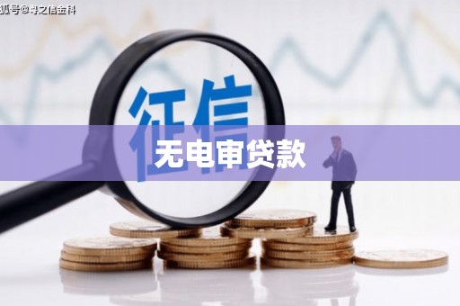容县无电审贷款