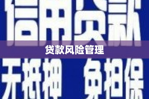 容县贷款风险管理