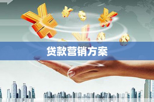 容县贷款营销方案