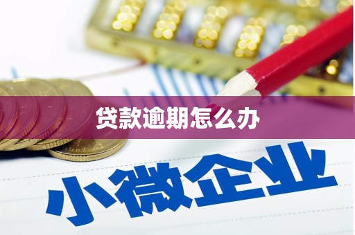 容县贷款逾期怎么办
