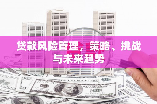 容县贷款风险管理，策略、挑战与未来趋势