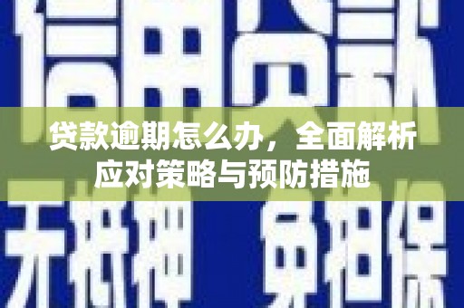 容县贷款逾期怎么办，全面解析应对策略与预防措施