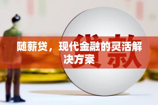 容县随薪贷，现代金融的灵活解决方案
