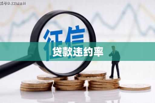容县贷款违约率