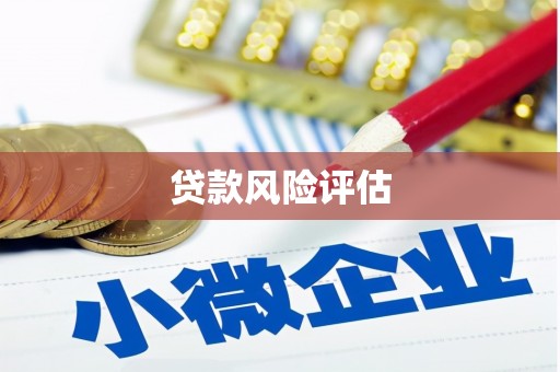 容县贷款风险评估