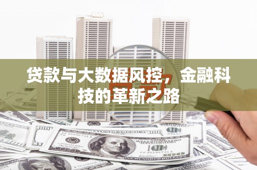 容县贷款与大数据风控，金融科技的革新之路