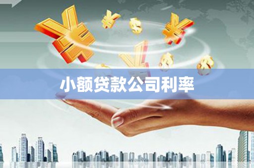 容县小额贷款公司利率
