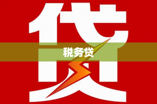 容县税务贷