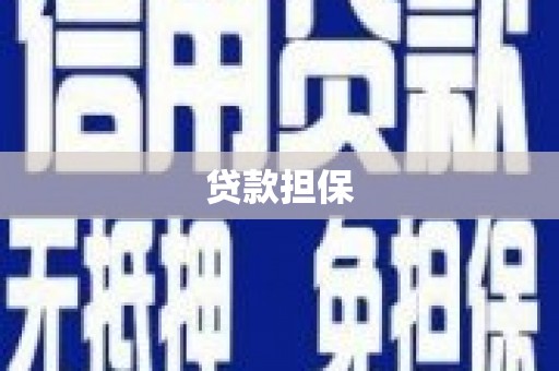 容县贷款担保