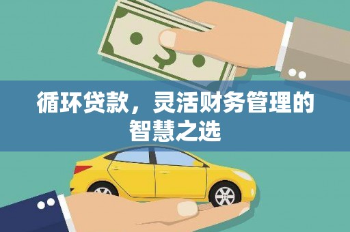容县循环贷款，灵活财务管理的智慧之选