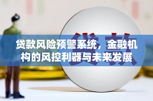 容县贷款风险预警系统，金融机构的风控利器与未来发展
