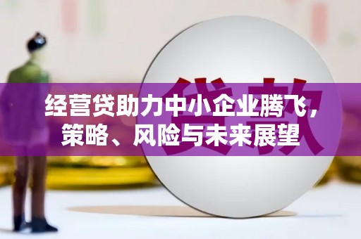 容县经营贷助力中小企业腾飞，策略、风险与未来展望