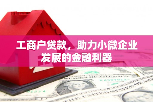 容县工商户贷款，助力小微企业发展的金融利器