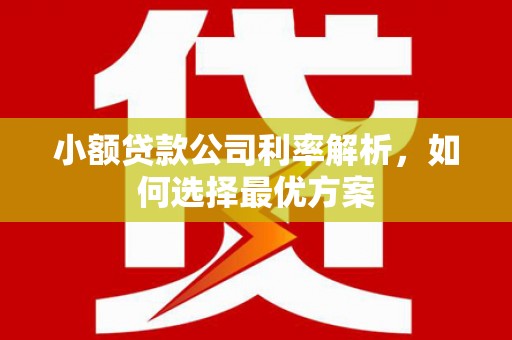 容县小额贷款公司利率解析，如何选择最优方案