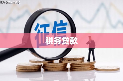容县税务贷款