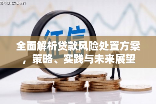 容县全面解析贷款风险处置方案，策略、实践与未来展望