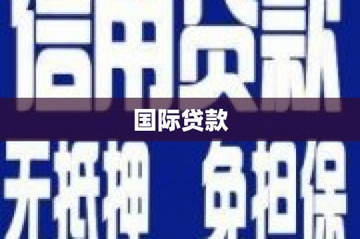 容县国际贷款
