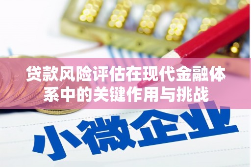 容县贷款风险评估在现代金融体系中的关键作用与挑战