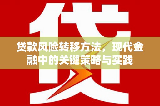 容县贷款风险转移方法，现代金融中的关键策略与实践
