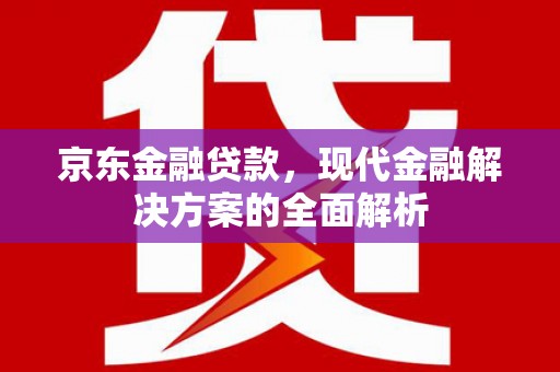 容县京东金融贷款，现代金融解决方案的全面解析