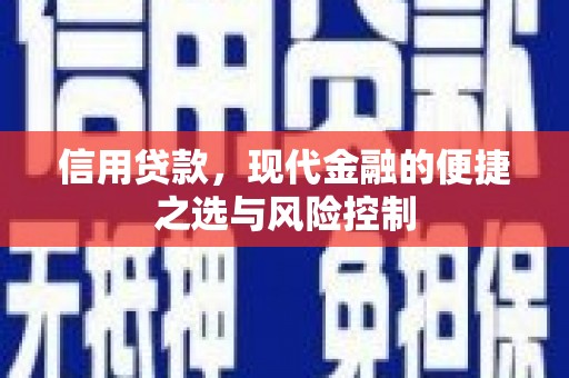 容县信用贷款，现代金融的便捷之选与风险控制