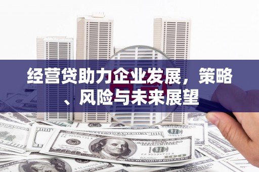 容县经营贷助力企业发展，策略、风险与未来展望