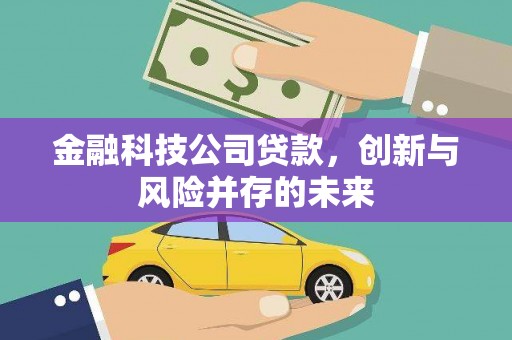 容县金融科技公司贷款，创新与风险并存的未来