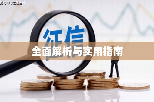 容县全面解析与实用指南