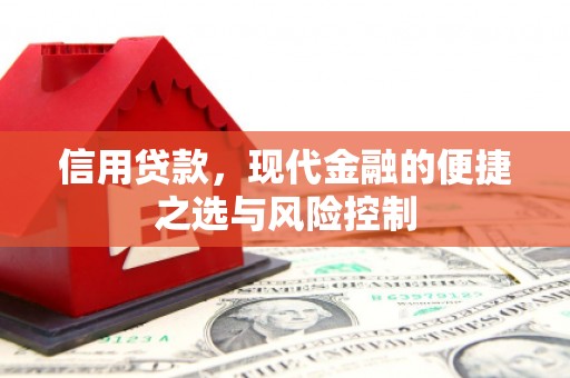 容县信用贷款，现代金融的便捷之选与风险控制