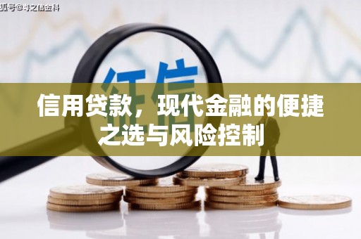 容县信用贷款，现代金融的便捷之选与风险控制