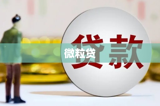 容县微粒贷