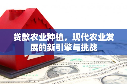 容县贷款农业种植，现代农业发展的新引擎与挑战