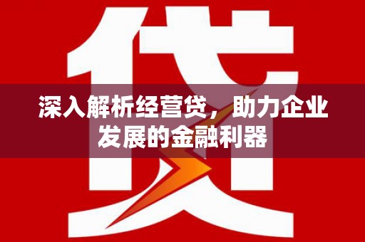 容县深入解析经营贷，助力企业发展的金融利器