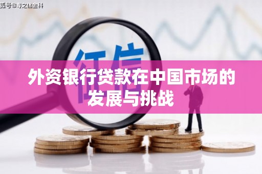 容县外资银行贷款在中国市场的发展与挑战