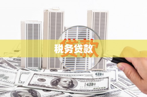 容县税务贷款