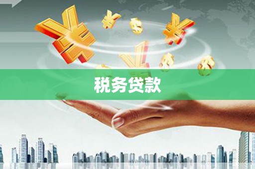 容县税务贷款