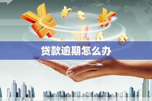 容县贷款逾期怎么办