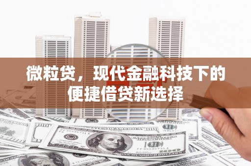 容县微粒贷，现代金融科技下的便捷借贷新选择