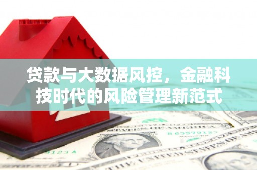 容县贷款与大数据风控，金融科技时代的风险管理新范式