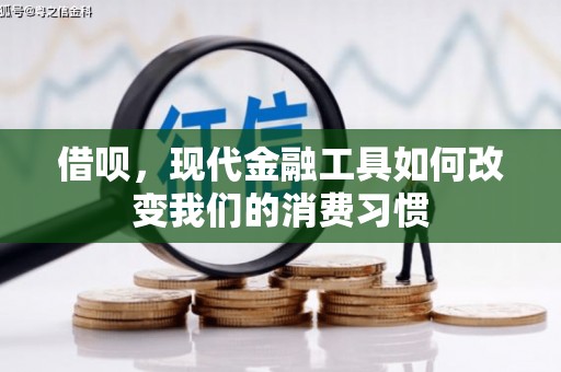 容县借呗，现代金融工具如何改变我们的消费习惯