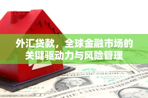 容县外汇贷款，全球金融市场的关键驱动力与风险管理