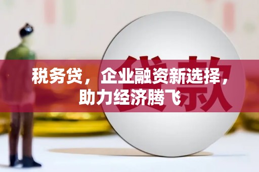 容县税务贷，企业融资新选择，助力经济腾飞