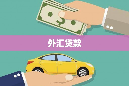 容县外汇贷款