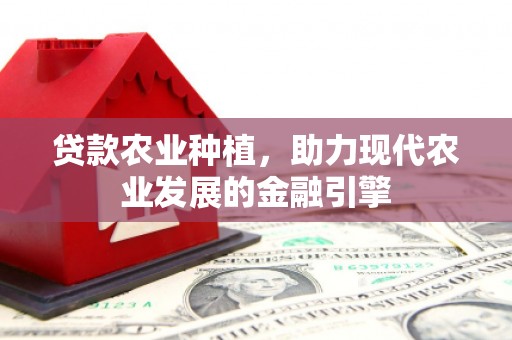 容县贷款农业种植，助力现代农业发展的金融引擎