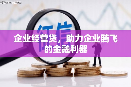 容县企业经营贷，助力企业腾飞的金融利器