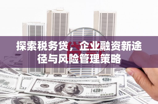 容县探索税务贷，企业融资新途径与风险管理策略