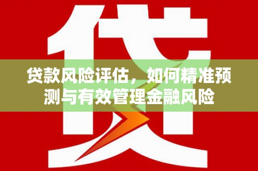 容县贷款风险评估，如何精准预测与有效管理金融风险